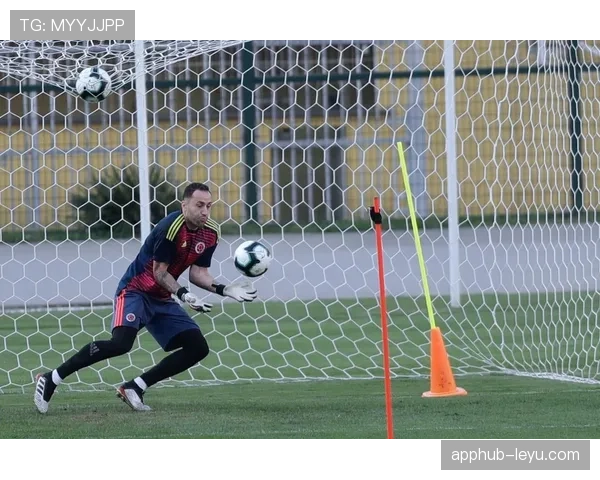 哥伦比亚队进攻火力全开，创造机会能力显著提升