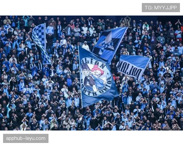 博阿阵容深度透视：新赛季新星蓄势待发，闪耀赛场指日可待